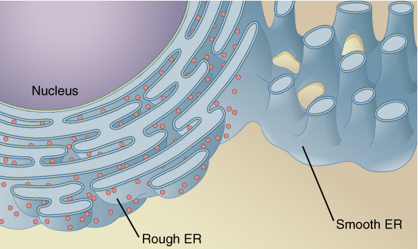 Pasted image 20220403212623.png