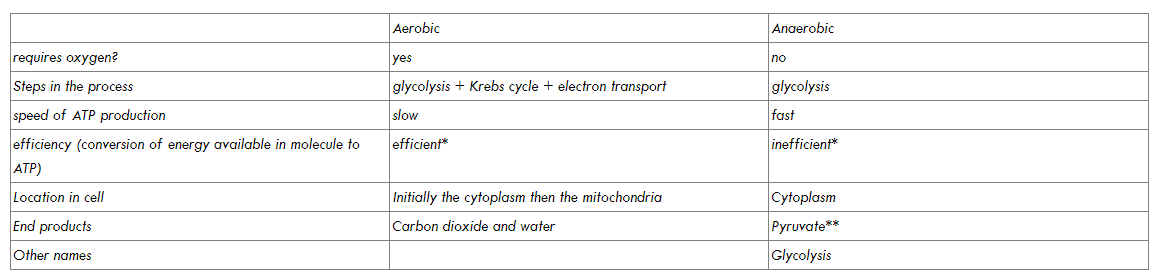 Pasted image 20220601193156.png